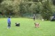 Thumbs/tn_Bild 010.jpg